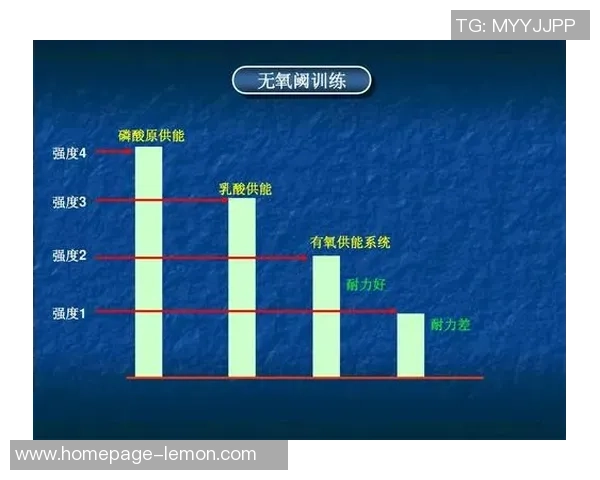 南京羽毛球队在全国锦标赛中的耐力表现分析与总结